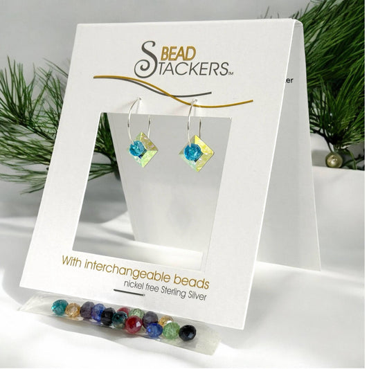 SW36 - Earrings come with 8 interchangeable colours.