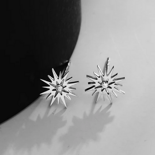 Amnisty Earrings 122223S