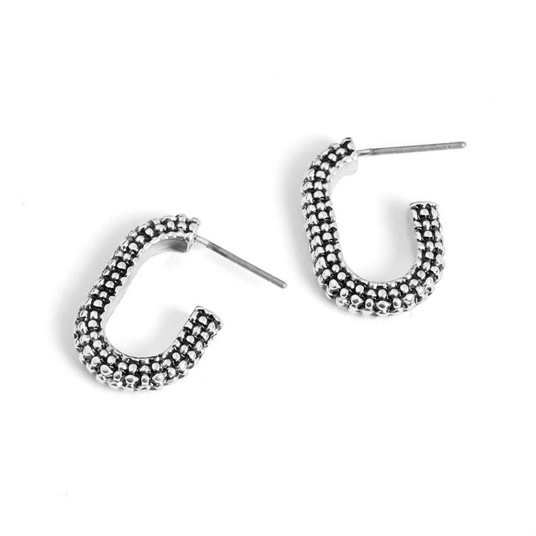 Studded Oval Earrings WN004338