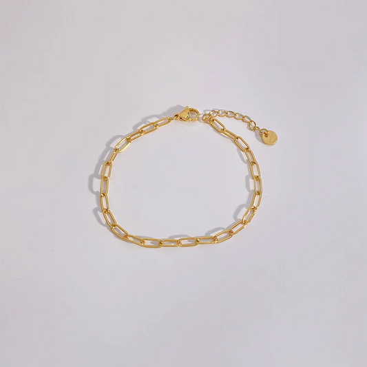 Stainless Steel Chain Bracelet AL25104