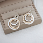 Load image into Gallery viewer, Classic Hoop Earrings Jewelry 231078 BTJE
